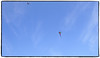 Kite Day, Prospect Park : 