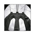 Brooklyn : 